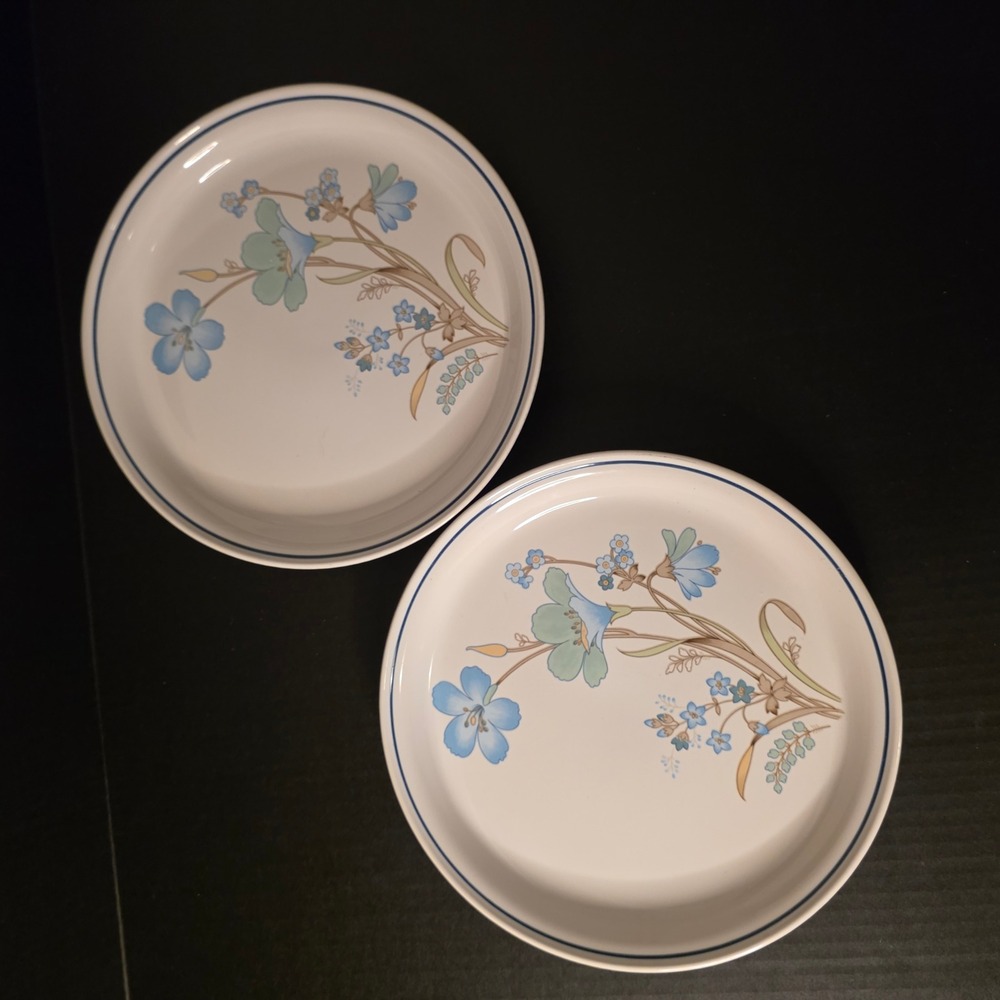 Vintage Set 2 Nitto Dinner Plates Heather Stone Blue Ridge 9820 floral 10 3/8"